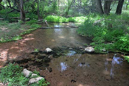 Sycamore Creek, Sycamore Canyon, April 16, 2015